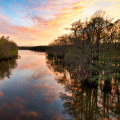 The Vital Role of Non-Profit Groups in Preserving Northwest Florida's Natural Beauty