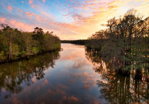 The Vital Role of Non-Profit Groups in Preserving Northwest Florida's Natural Beauty